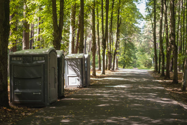Best Porta potty for special events  in Ishpeng, MI